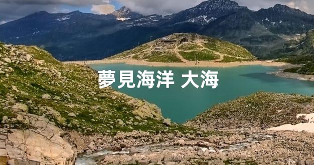 夢見海洋 大海